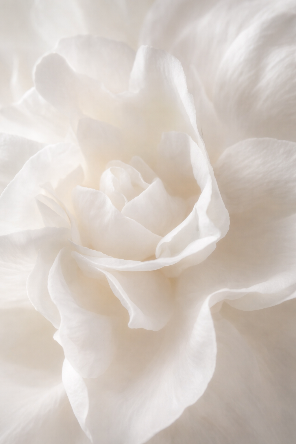 1:1 Sacred Transformation Session